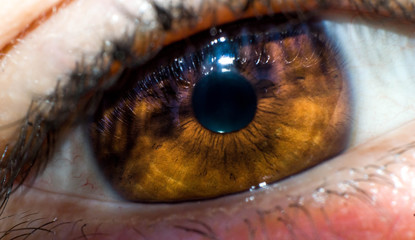 ojo macro