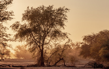 Lever du soleil dans la campagne en Namibie