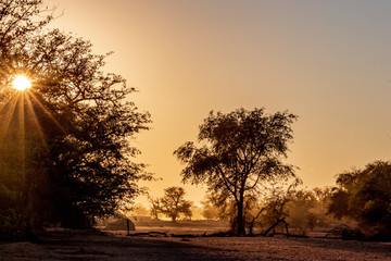 Lever du soleil dans la campagne en Namibie