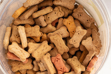 dog biscuits are in a bucket and waiting to serve to your pet