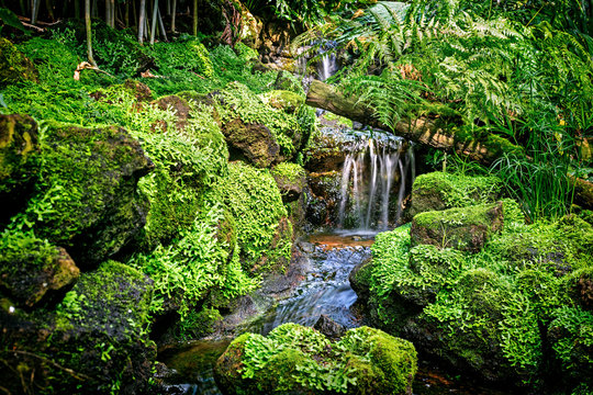 Beautiful waterfall in tropical rainforest 