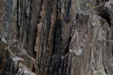 granite rock, quartz and nickel streaks