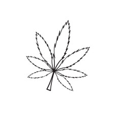Marijuana vector cannabis leaf weed icon logo symbol sign illustration graphic with hand drawn doodle style vector