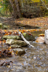 Dammed Stream in Fall