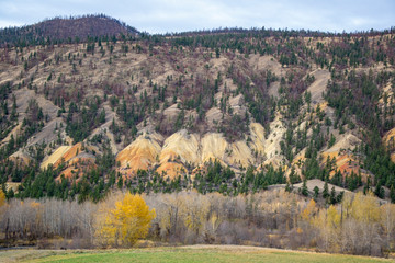 Marble Powder Canyon
