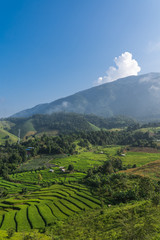 Terraced rice fields