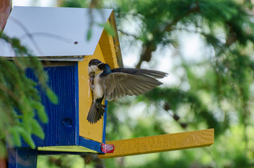 Relation mère enfant © JeremyBusque