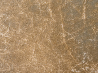 Leather Drum Skin Texture Percussion