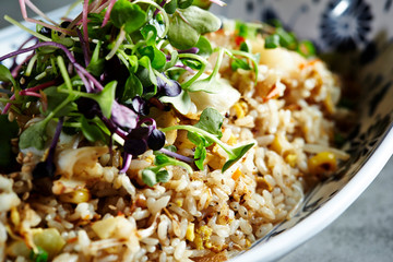 Egg fried rice with sprouts on top 