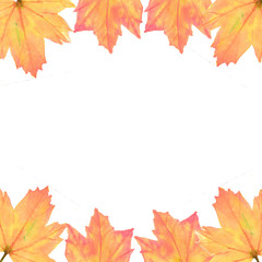 Naklejka na ściany i meble Watercolor atumn leaves on white background with copy space can be used for Christmas background