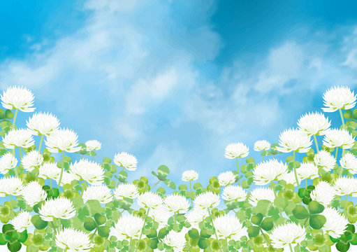 4 857 Best シロツメクサ Images Stock Photos Vectors Adobe Stock 4 857 Best シロツメクサ Images Stock Photos Vectors Adobe Stock