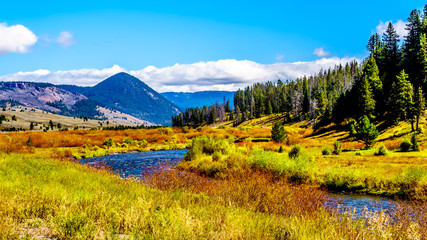 Obraz premium The Gallatin River as it runs through the western most part of Yellowstone National Park along Highway 191 in Montana, United States of America
