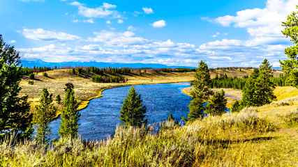 The Madison River as it flows through the western most part of Yellowstone National Park along Highway 191 in Wyoming, United States of America © hpbfotos