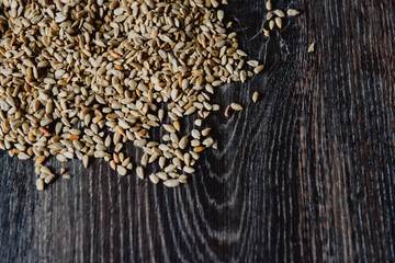 peeled sunflower seeds on a dark background