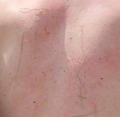 Grass stains on the skin as a background