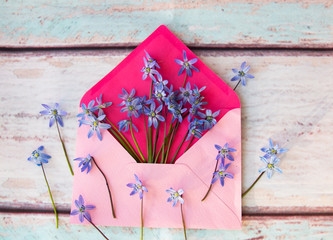 blue scree pink envelope letter