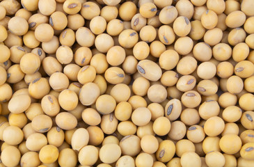 Soy beans background