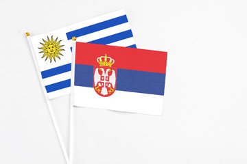 Serbia and Uruguay stick flags on white background. High quality fabric, miniature national flag. Peaceful global concept.White floor for copy space.