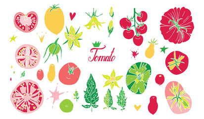 Set of isolated tomato vector elements on white background