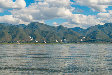Group of Gulls flying over Inle lake the second largest lake in Myanmar with beautiful view of Shan...