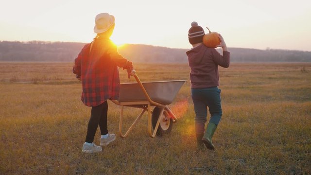 Brother And Sister Picking Pumpkins On Halloween Pumpkin Patch. Team Kids Pick Ripe Vegetables On A Farm At Sunset Time In Thanksgiving Holiday Season. Family Having Fun In Autumn.