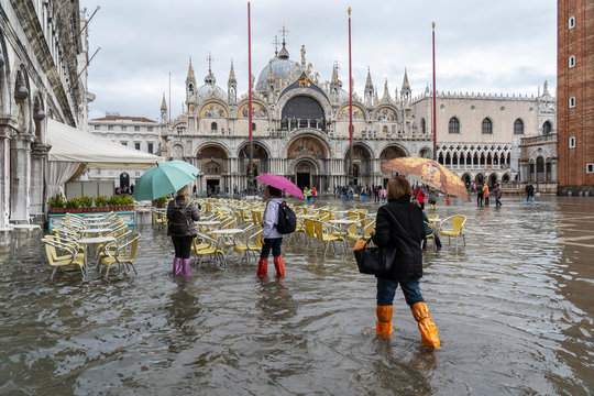 VENICE, ITALY - November 12, 2019: St. Marks Square (Piazza San Marco) during flood (acqua alta) in Venice, Italy. Venice high water. Tourists at St. Mark's Square during high water