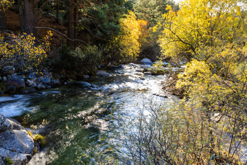 River in La Pedriza, in the mountains of Madrid, area characterized by large granite rocks