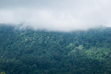 Shadow of clouds in the mountains