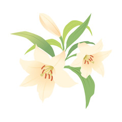 ユリの花