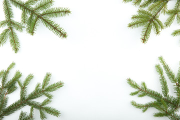 Christmas tree branches on white background with copy space