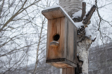 Winter bird house.