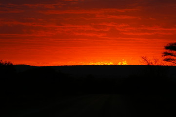 Fototapeta na wymiar Sunrise over Kruger