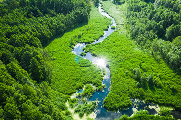 Small winding river and green swamps, aerial view - obrazy, fototapety, plakaty