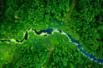 Deurstickers Woonkamer Verbazingwekkende bloeiende algen op groene rivier, luchtfoto