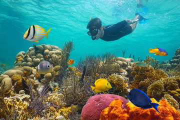 Caribbean sea colorful coral reef with tropical fish and a man snorkeling underwater - obrazy, fototapety, plakaty
