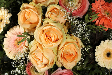 Cherry Brandy Rosen