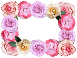 Beautiful floral frame of roses. Isolated