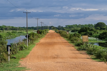 Fototapeta na wymiar View of Transpantaneira dirt road leading to sky with clouds at the horizon, North Pantanal Wetlands, Mato Grosso, Brazil