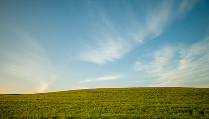 Fototapeta na wymiar Green field and Blue cloudy Sky Environment