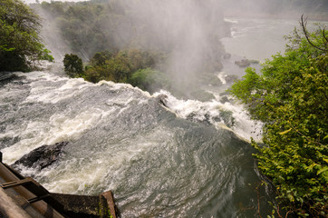overview of landscape to iguacu waterfalls in Brazil