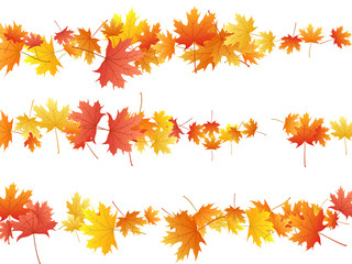 Maple leaves vector background, autumn foliage on white graphic design.