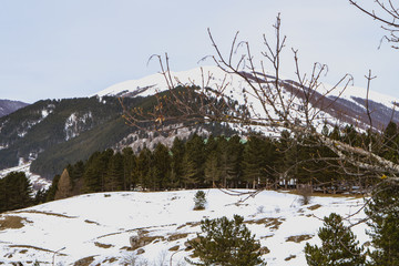 Fototapeta premium beautiful snowy landscapes of the city of abruzzo