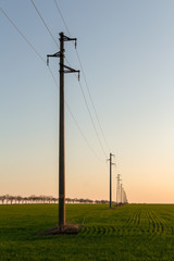 Fototapeta na wymiar A line of electric poles with cables of electricity in a field with a forest in background in autumn during sunset.