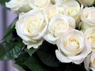 Bouquet of white roses close-up
