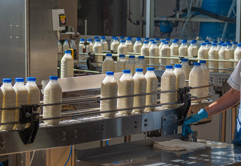 the machine pours milk into bottles