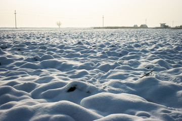 Farmland covered with snow