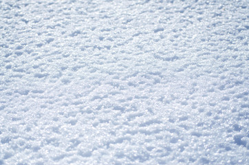 Obraz premium Snowy abstract white background, winter frosty landscape