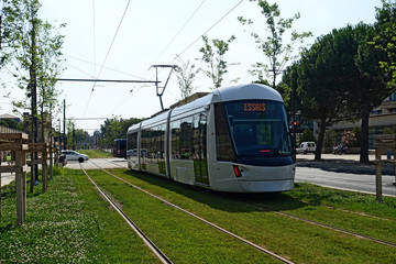Fototapeta na wymiar le tram en ville