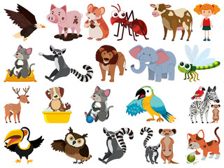 Set of isolated objects theme animals