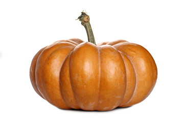 Muscat Squash isolated on white background